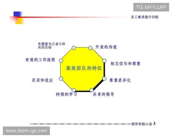 成都羽毛球队团队协作表现的数据分析与提升策略探讨 成都羽毛球队团队协作表现的数据分析与提升策略探讨